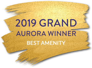 2019 Grand Aurora Award Winner