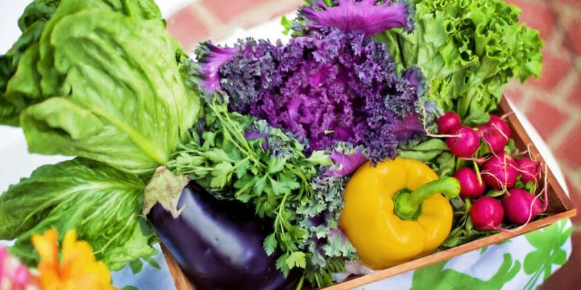 10 Tips to Keep Produce Fresh Longer