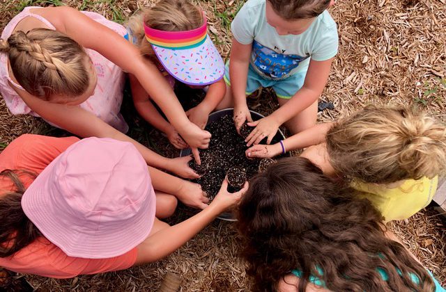 Arden Girl Scouts Earn Their Gardening Badge at the Farm