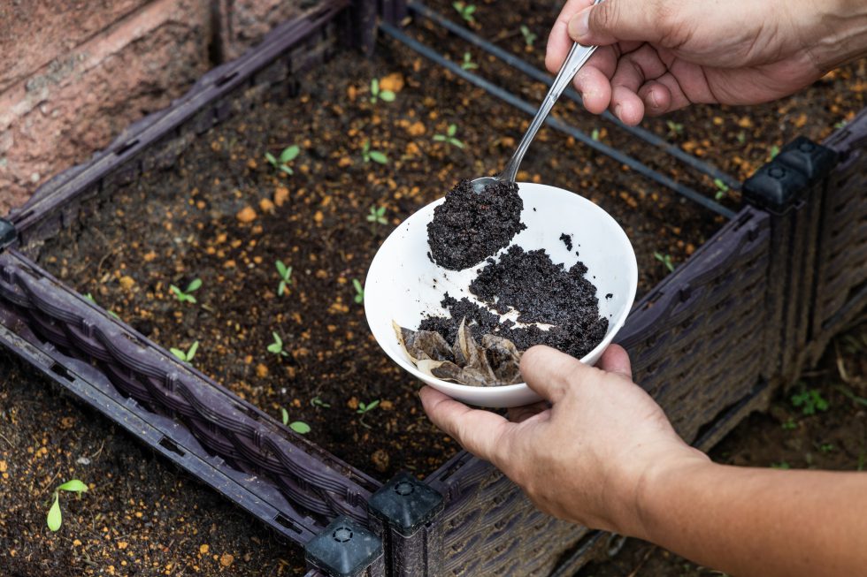 More Than Just a Cup of Coffee: 3 Ways to Reuse Coffee Grounds
